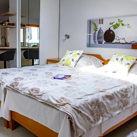Studio Apartman Nega 1 Rovinj Exterior foto