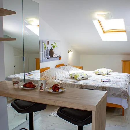 Studio Apartman Nega 1 Rovinj Exterior foto