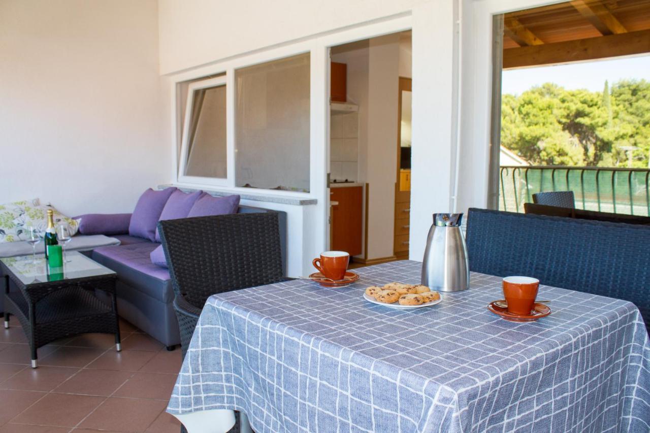 Nega 1 Appartement *